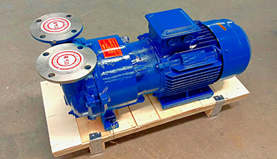 2BV Vacuum Pump for Sale